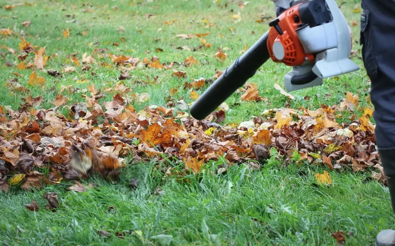 a person using a blower to clean leaves