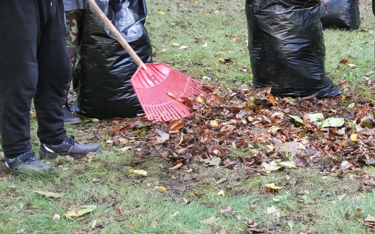a person raking leaves in the yard