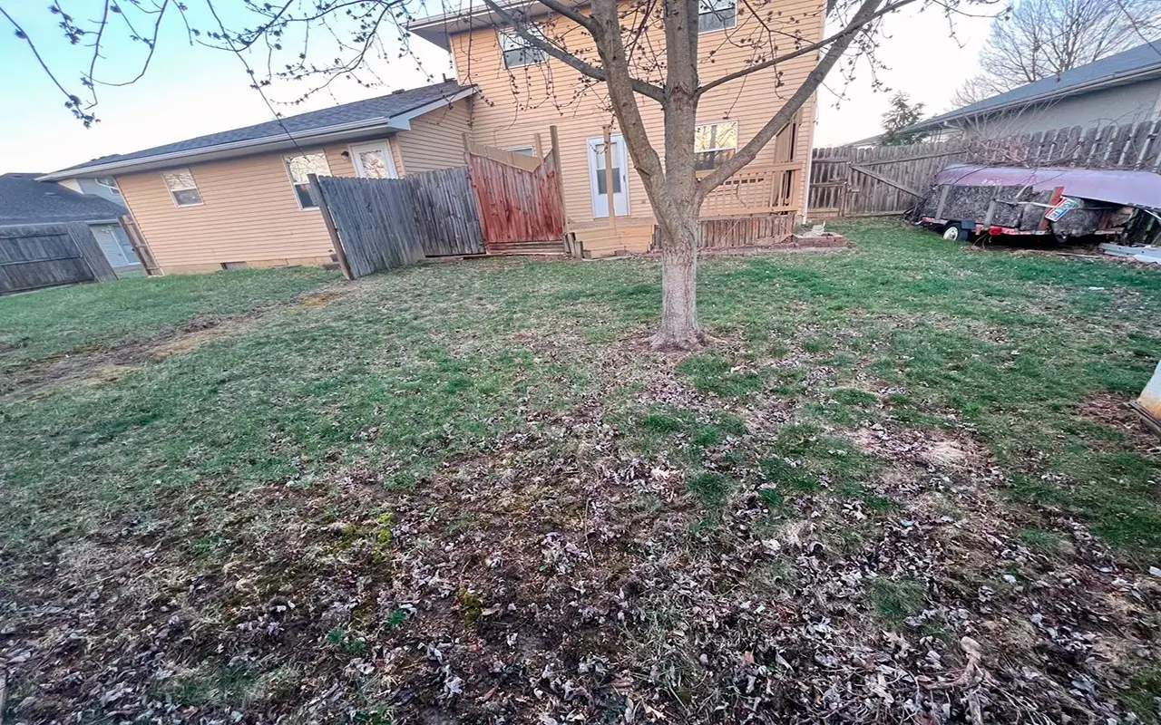 Damaged lawn to be renewed with Lawn Sodding installation, removing the old grass to prepare the ground for the new sod.