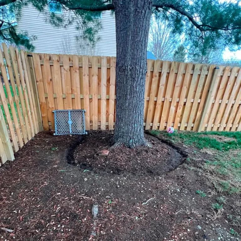 A backyard with a wooden fence, a large tree surrounded by mulch, and gardening improvements, captured as part of a Spring CleanUp in Ohio.