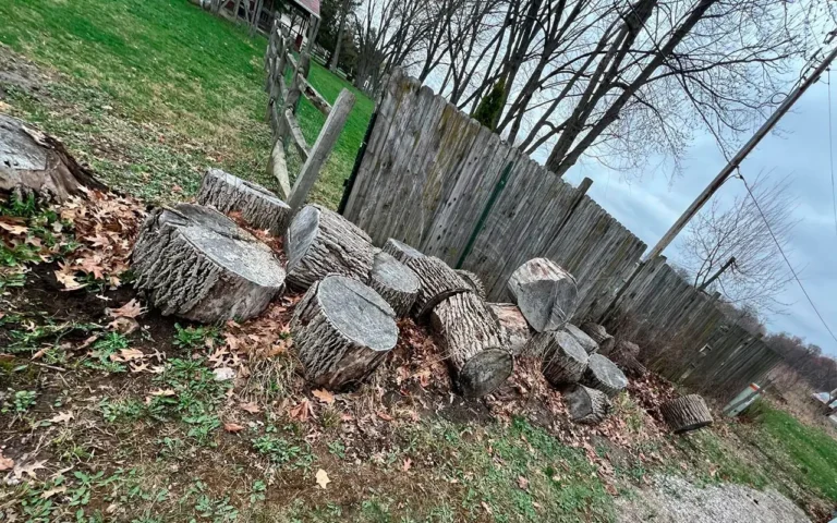 A pile of freshly cut tree logs stacked on the ground as part of a Spring CleanUp in Ohio, surrounded by fallen leaves and a rustic outdoor setting.