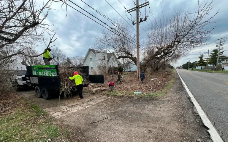 Workers conducting tree trimming and roadside cleanup as part of a Spring CleanUp in Ohio, utilizing a truck to collect trimmed branches and maintain neighborhood safety.