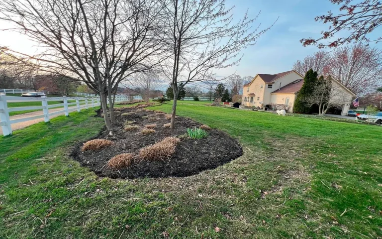 A neatly landscaped yard featuring a mulched area with trees and plants, a well-kept lawn, and a cozy two-story house in the background, captured as part of a Spring CleanUp in Ohio.